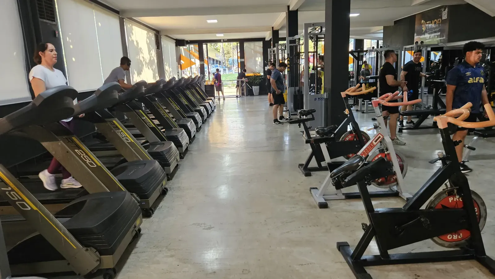Halteres e Barras Profissionais